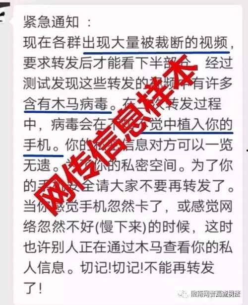 视频有病毒吗,揭秘潜在风险与防护措施