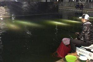 黑坑夜钓视频,黑坑夜钓奇遇记