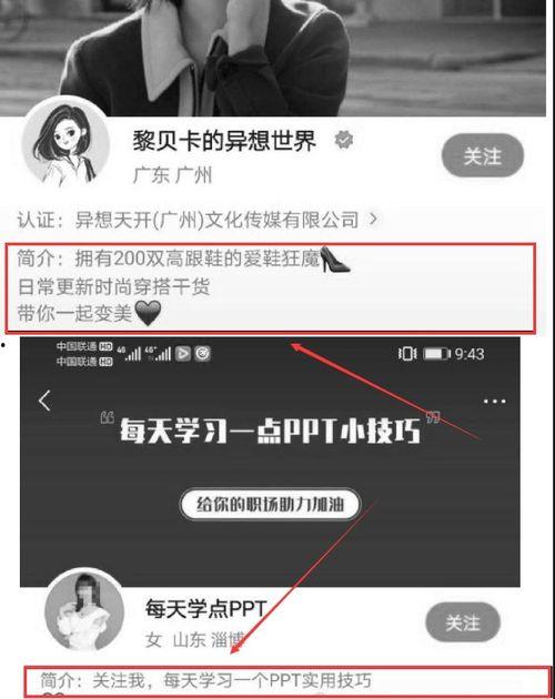 视频简介怎么写,探秘[视频标题]背后的精彩故事