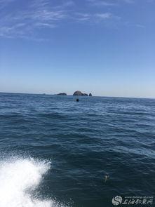 舟山海钓视频