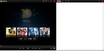 视频显示白,探索无色世界的无限可能