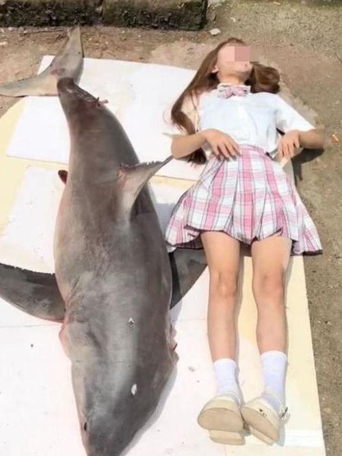 鲨鱼吃视频,鲨鱼捕食瞬间揭秘