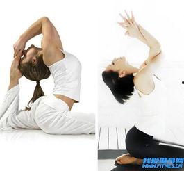 放松瑜伽视频,轻松解锁身心放松之道