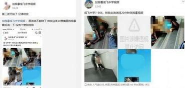 成飞中学事件 视频,校园暴力冲突引发的深思