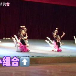 二级舞蹈视频,揭秘二级舞蹈视频的魅力与技巧