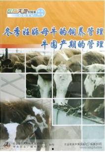 牛取精视频,高效繁殖新篇章