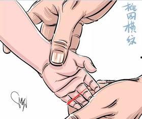 推四横纹视频