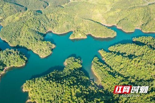 绿水青山视频,探寻生态和谐之美